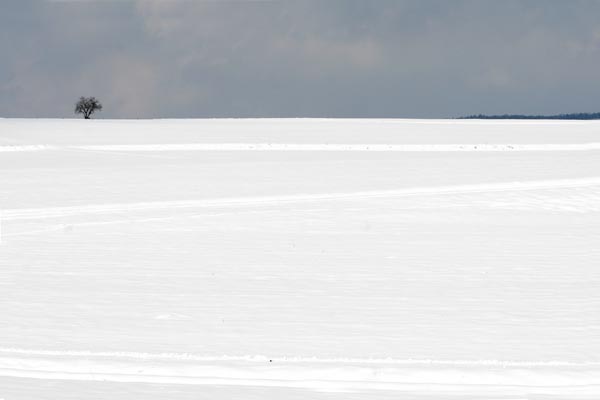 2006.03.05-15.04.56-1